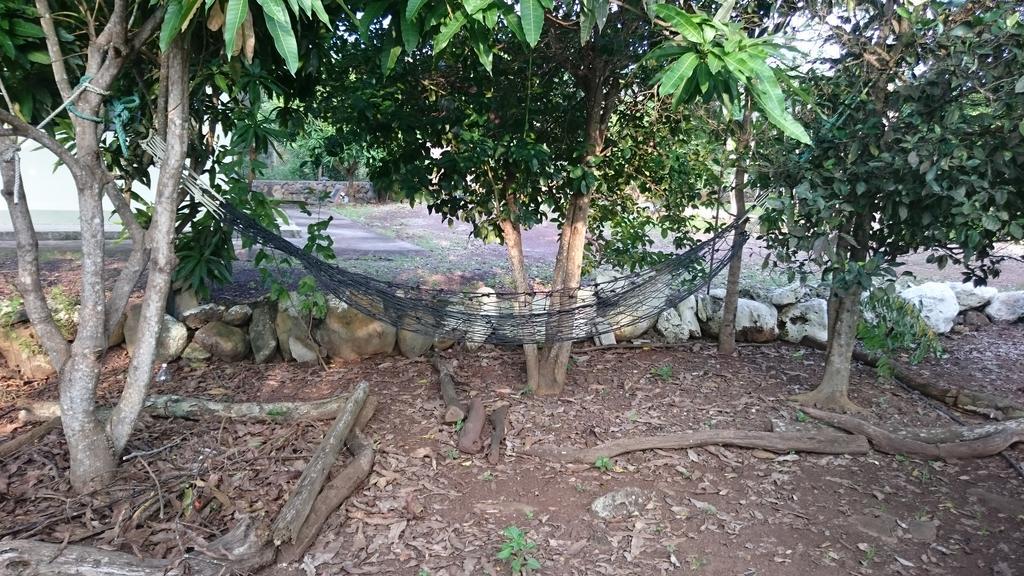 Cucuve Eco Hostal Puerto Baquerizo Moreno Exteriér fotografie